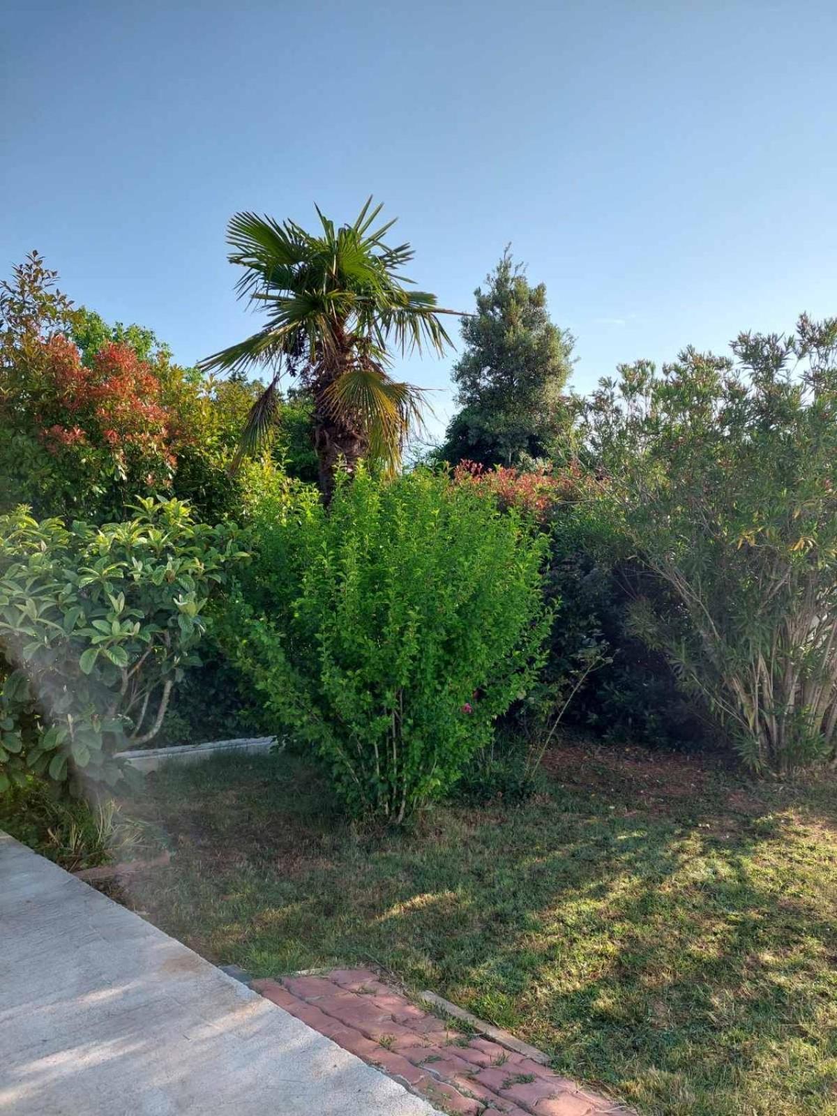 Soline Ada Apartment Pjescana Uvala Bagian luar foto